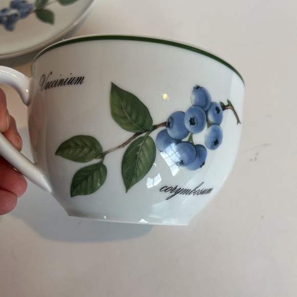 Apilco French Elysian Garden Porcelaine Oversized Breakfast Cup and Saucer - Picture 5 of 15